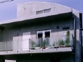 koganei01.jpg