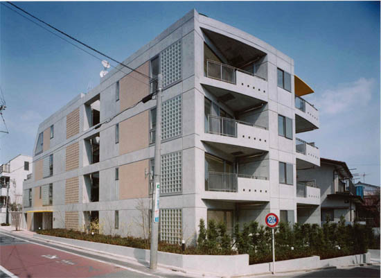 建築設計資料 96 コーポラティブハウス